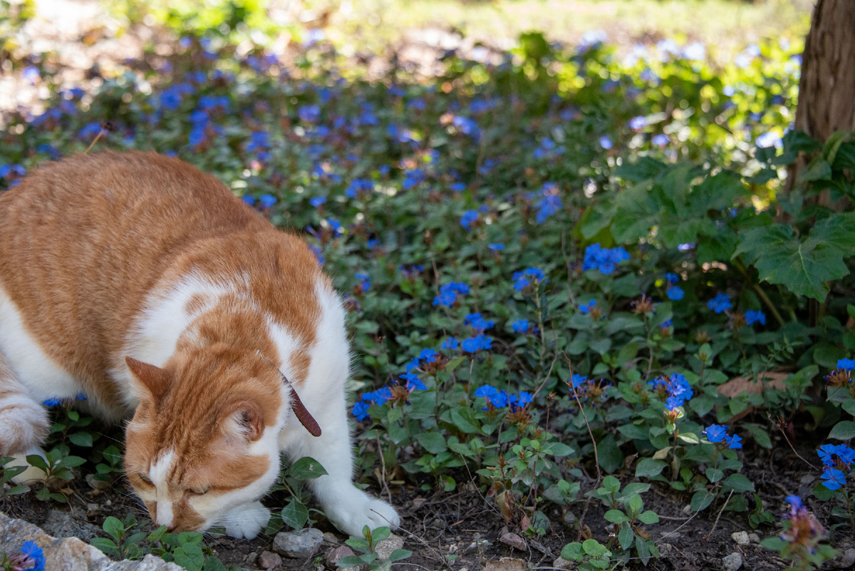 Синий цвет мне однозначно к лицу