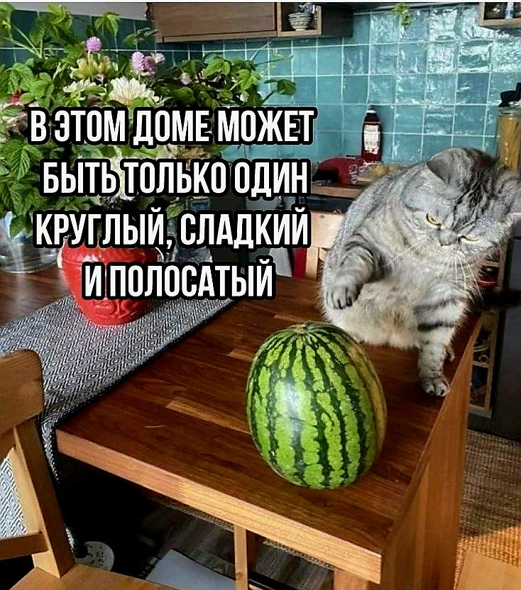 Источник фото найден на просторах Интернета в открытом доступе