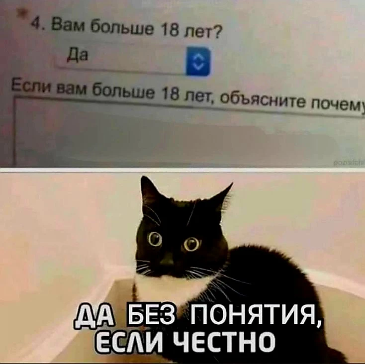 Источник фото найден на просторах Интернета в открытом доступе