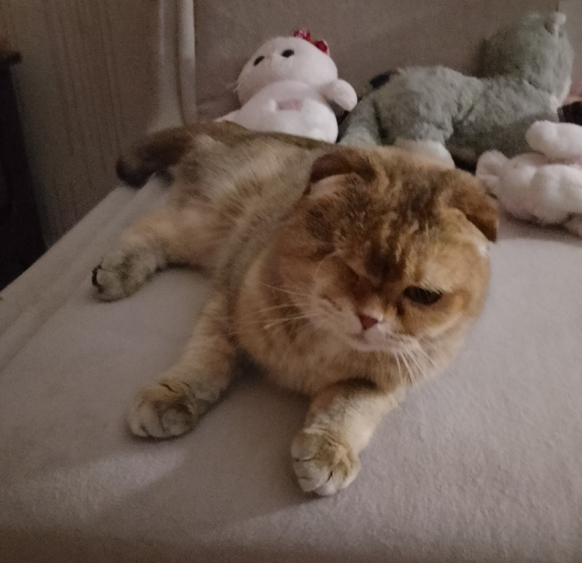 Как, Наташа, я всё думаю, как?! Как можно держать в доме такую опасную дверь?! 