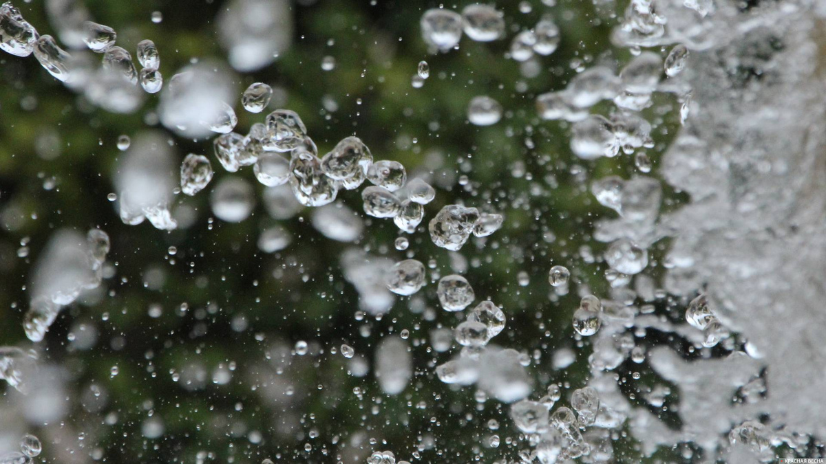     Вода   
Константин Ерёмин (с) ИА Красная Весна