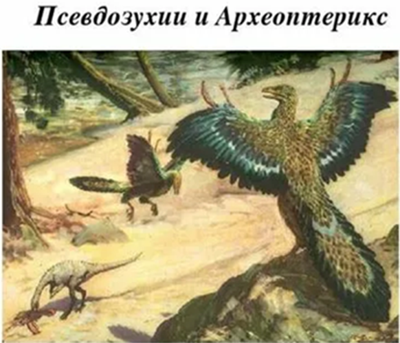 Динозавры археоптериксы и псевдозухий (рептилия) компсогнат
