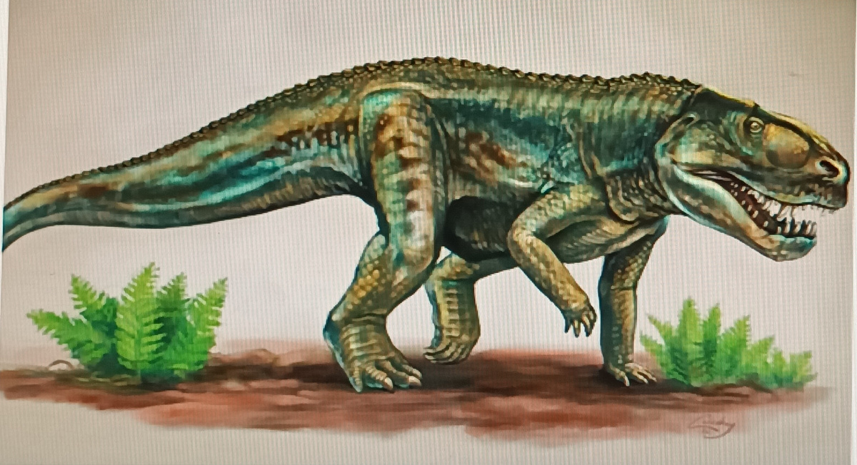 Один из группы архозавров - предполагаемый предок крокодилов, динозавров, ящеров и птиц