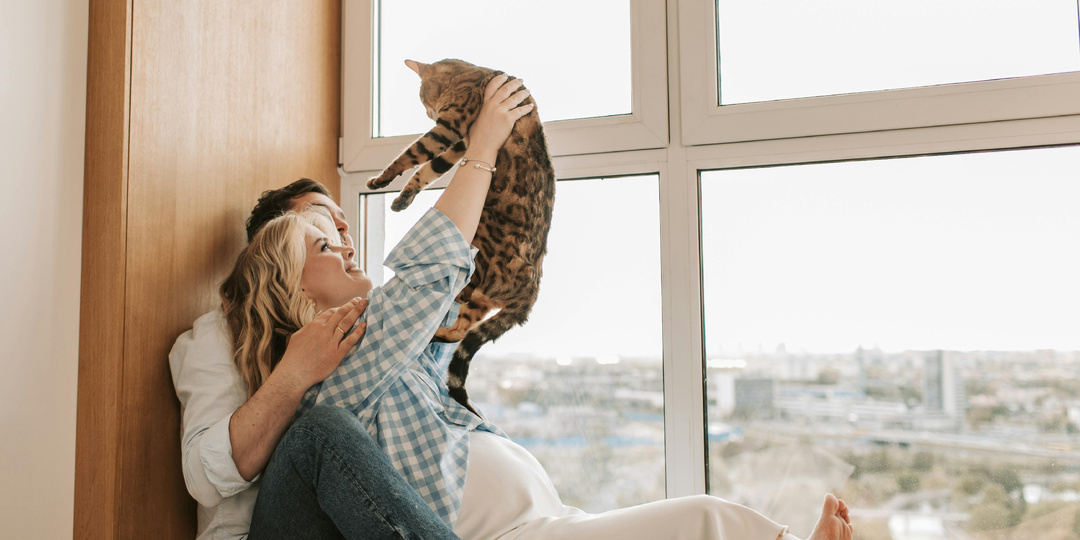 Кого котики любят больше: мужчин или женщин?