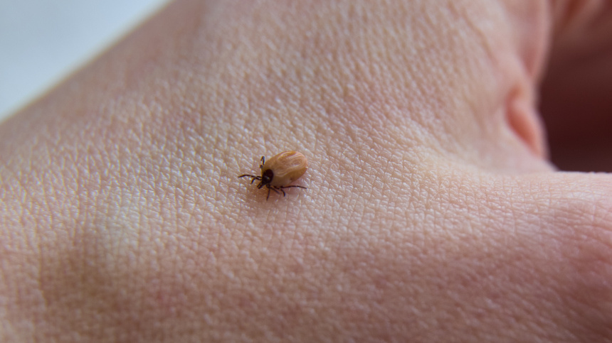    Фото: ИЗВЕСТИЯ/Полина Фиолет