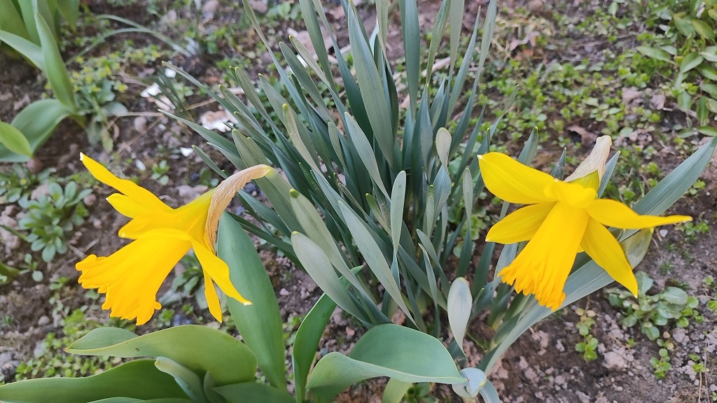 Фото автора. Жалко всегда уезжать от красоты