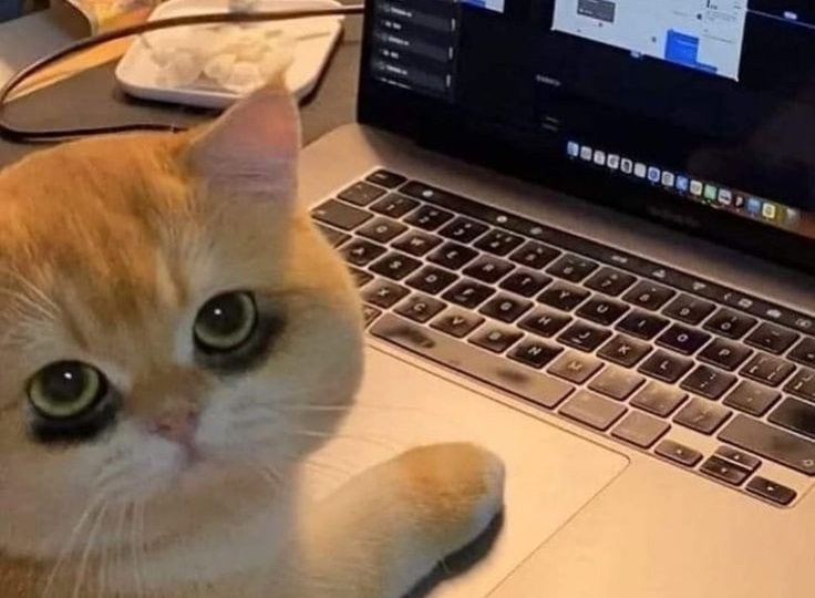 Экзамен для «ура-патриотов»: 4 простых шага, чтобы доказать любовь к Путину