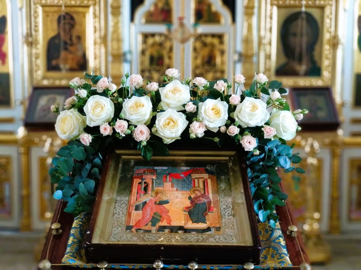 Фото: из открытых интернет-источников