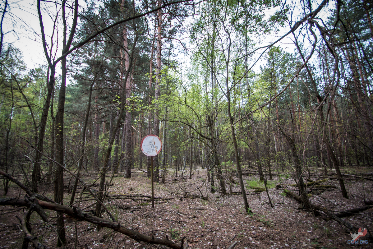 Дорожный знак. 