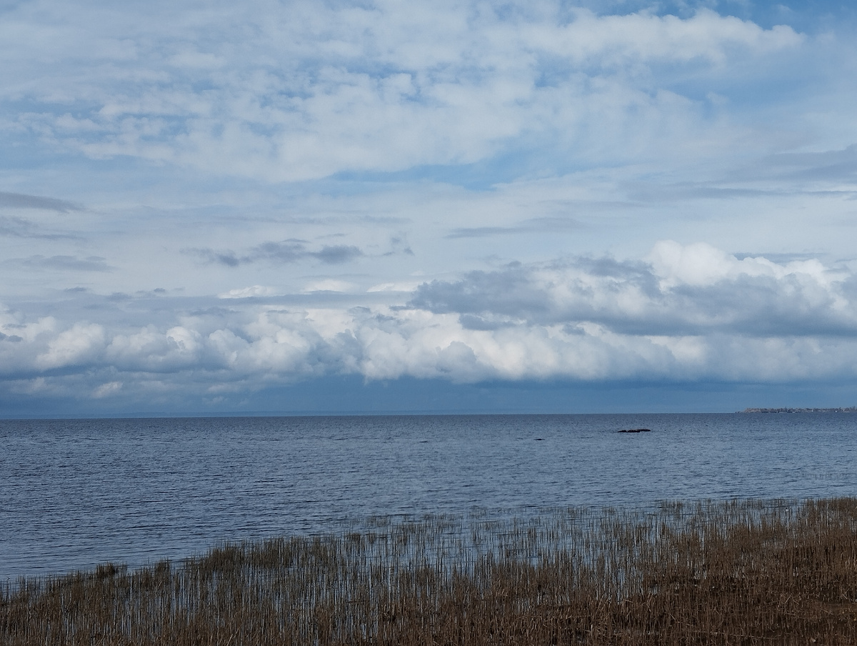 Остров Котлин. Финский залив