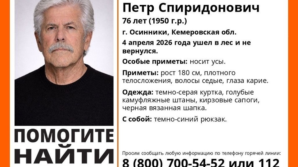 В Кузбассе ищут пропавшего в лесу мужчину