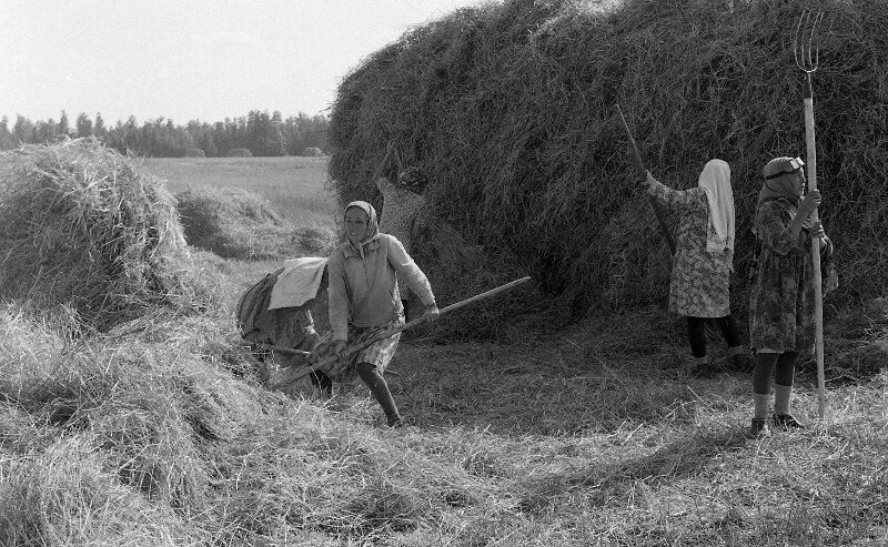 Взято из открытых источников интернета Яндекс.