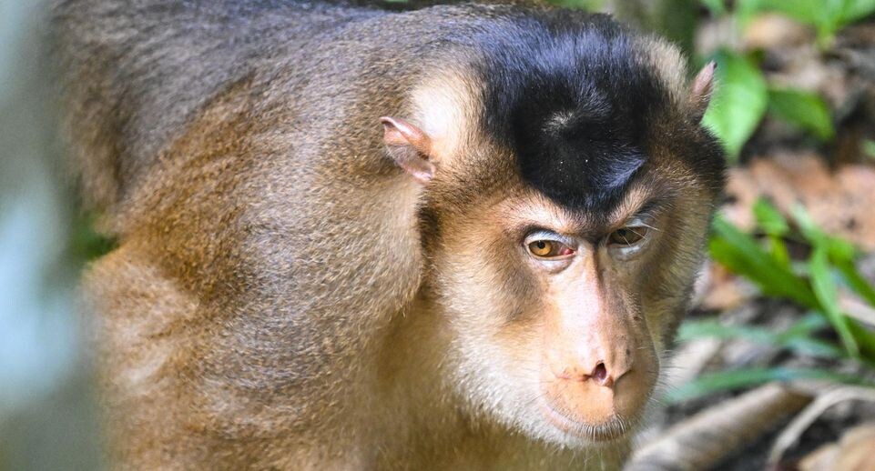    Cheng Yiheng/XinHua / www.globallookpress.com