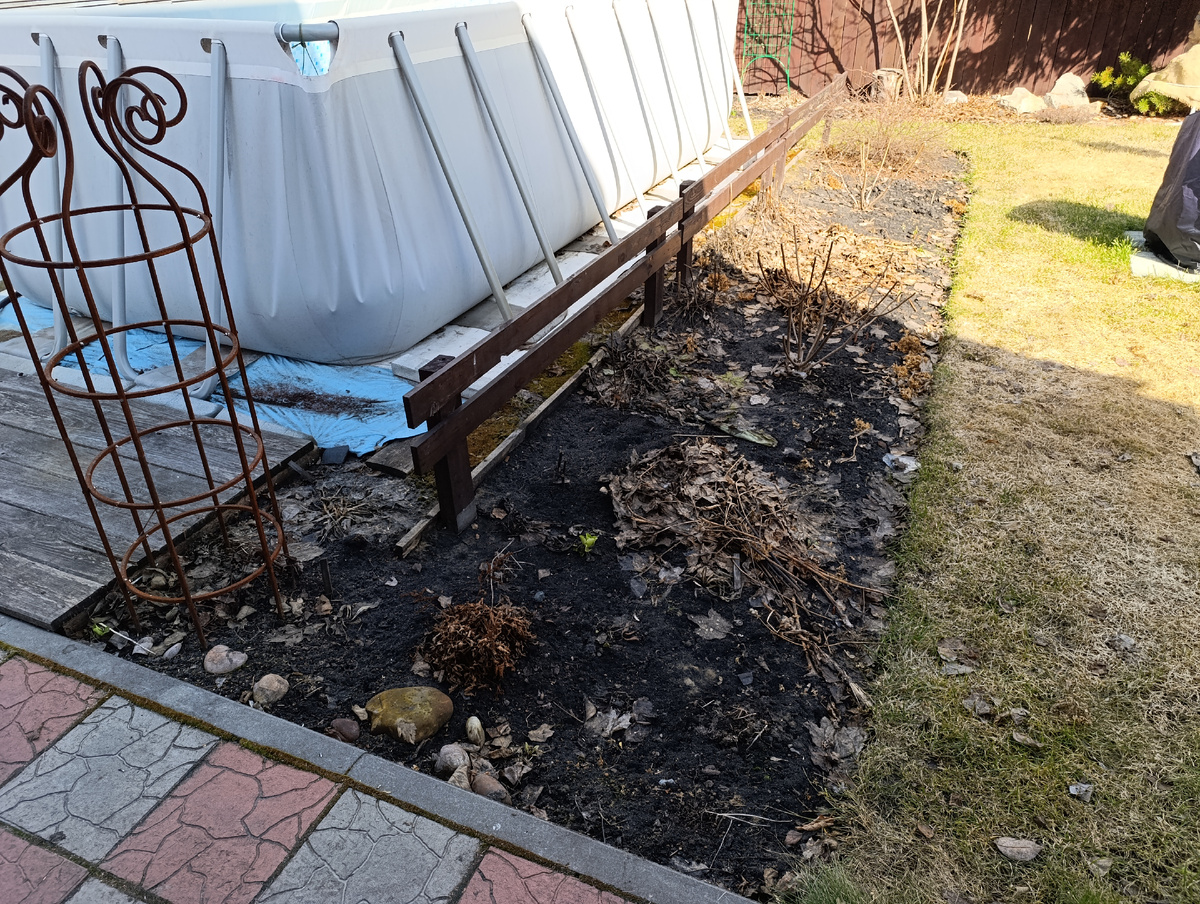 Клумба вдоль бассейна - было