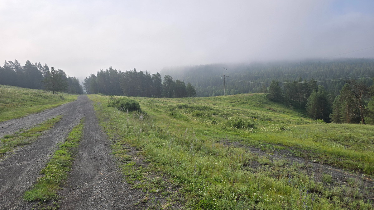 Туманное утро
