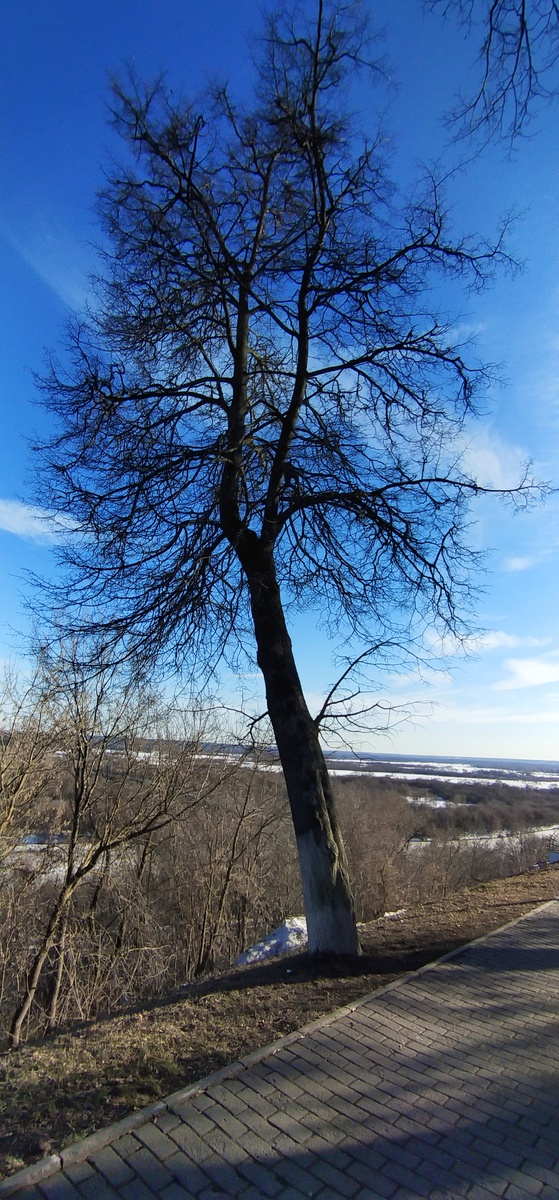 Личное фото
