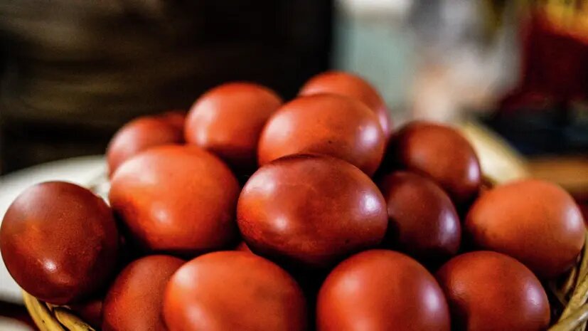    Источник: russian.rt.com Ксения