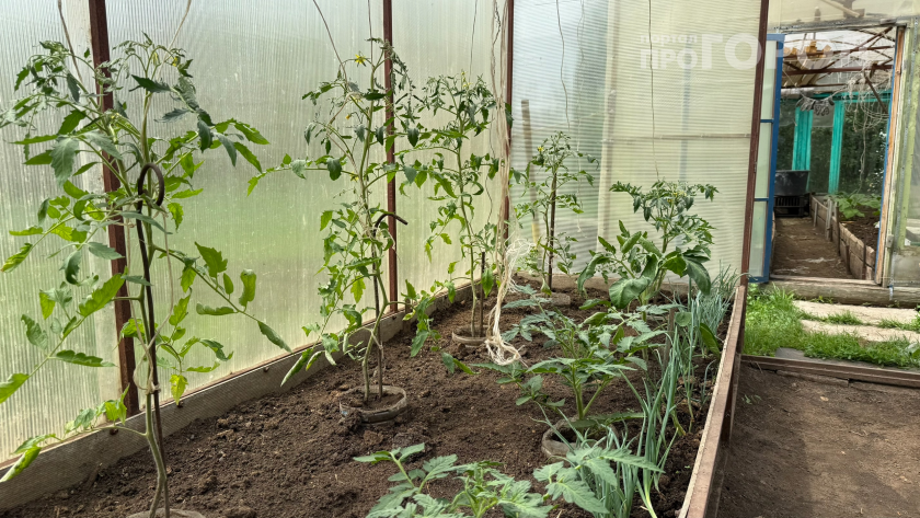    Фото: ПроГород