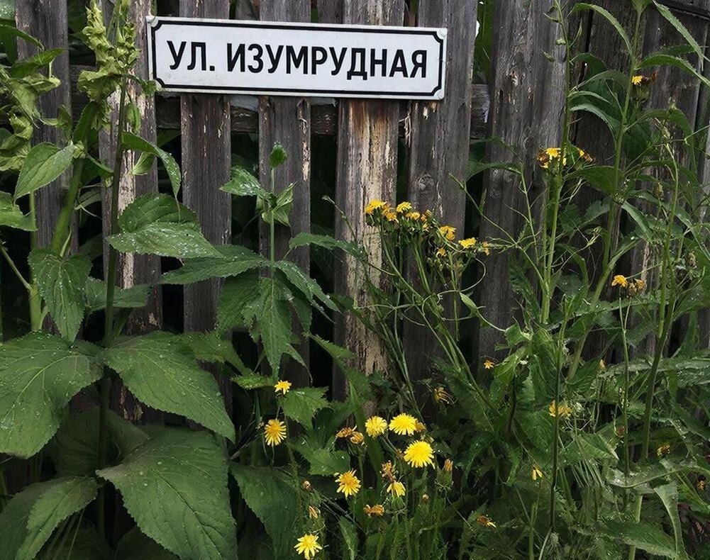 Фото: нейросеть