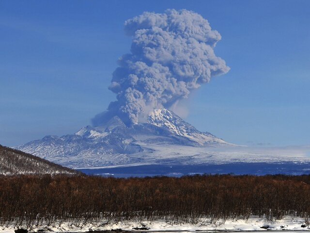    Фото: ТАСС/AP/Yuri Demyanchuk
