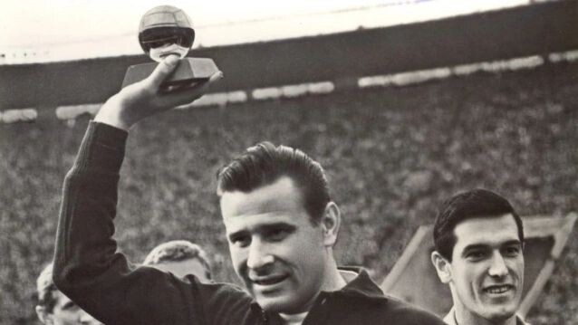    Фото: artnana/Shutterstock/Fotodom