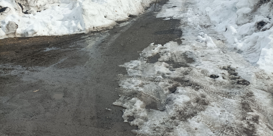 Вторая поездка на дачу в новом году и первая встреча с розами!