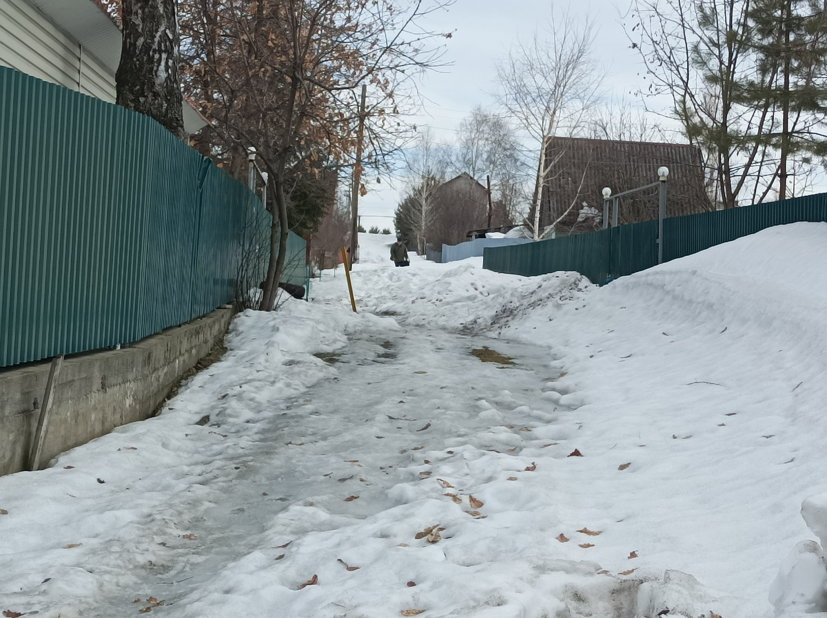 центральная аллея, снега не много, до нашей топать около 100 м, а там начинается самое интересное))