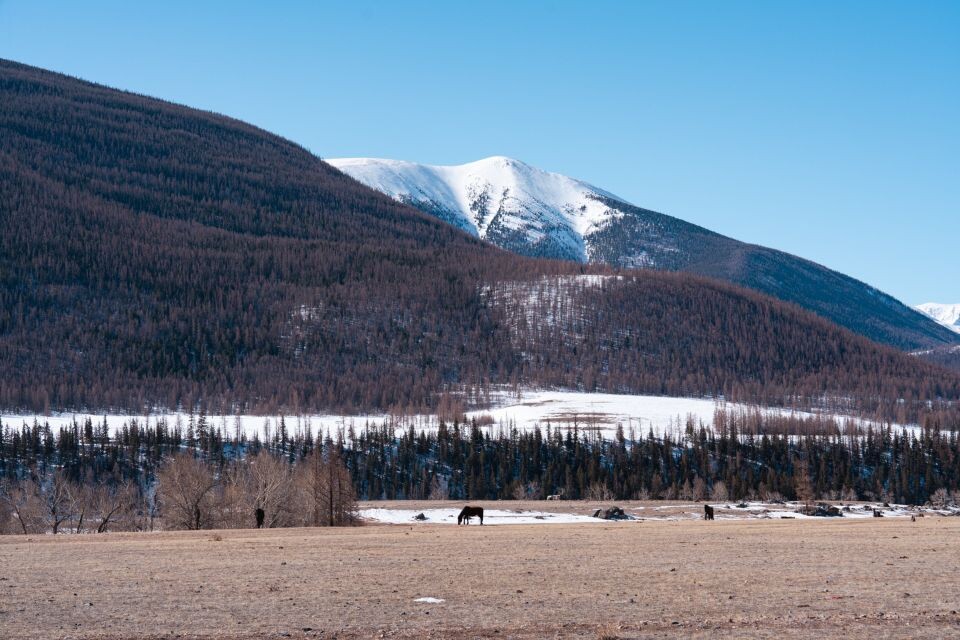    Кош-Агачский район. Республика Алтай. Источник: Андрей Сороко/"Толк"