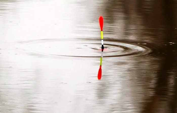 Апрельская поплавочная удочка: тонкости ловли на речных разливах