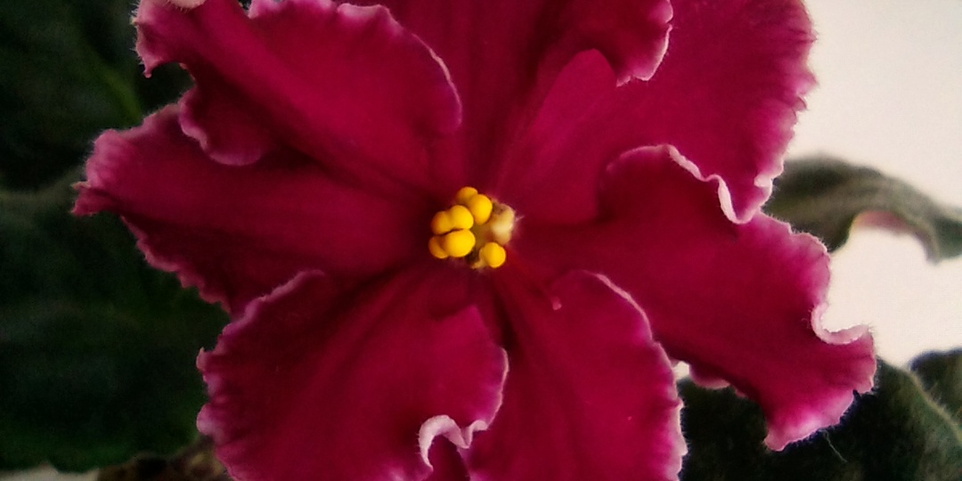 С праздником всех, с Пасхой!