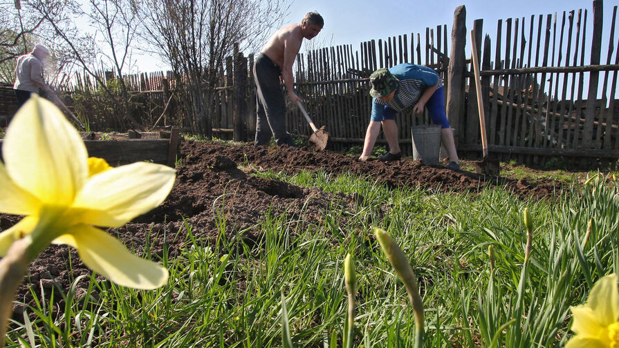 РИА «Новости»   📷