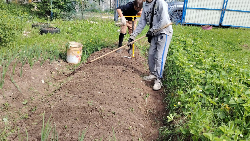 Дачники, запишите, какие культуры нужно успеть посеять в апреле 2026 года