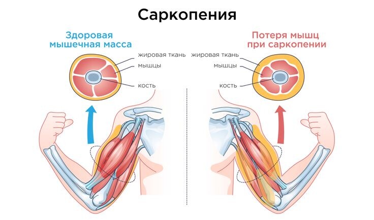 фото из открытого источника