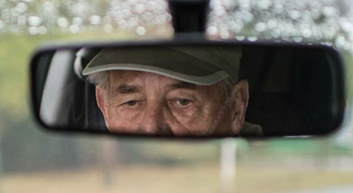 Фото из открытых источников