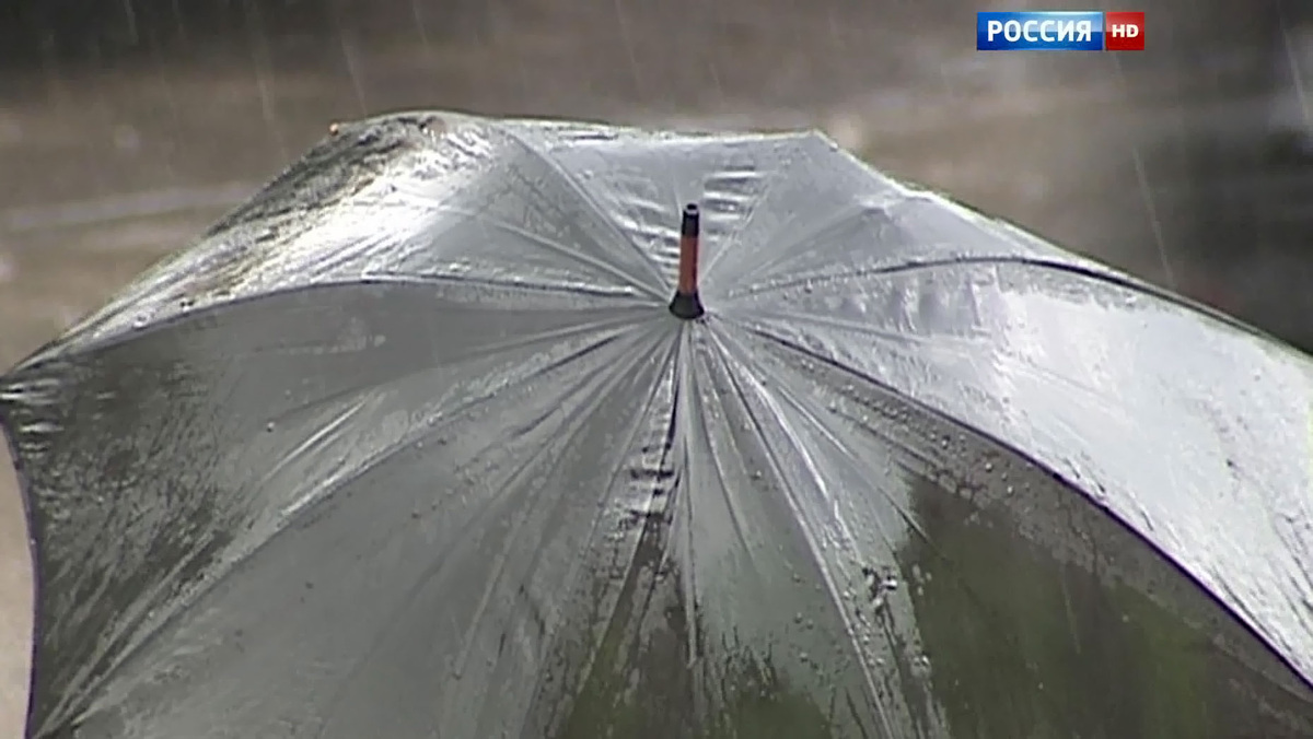    Кадр телеканала "Россия"