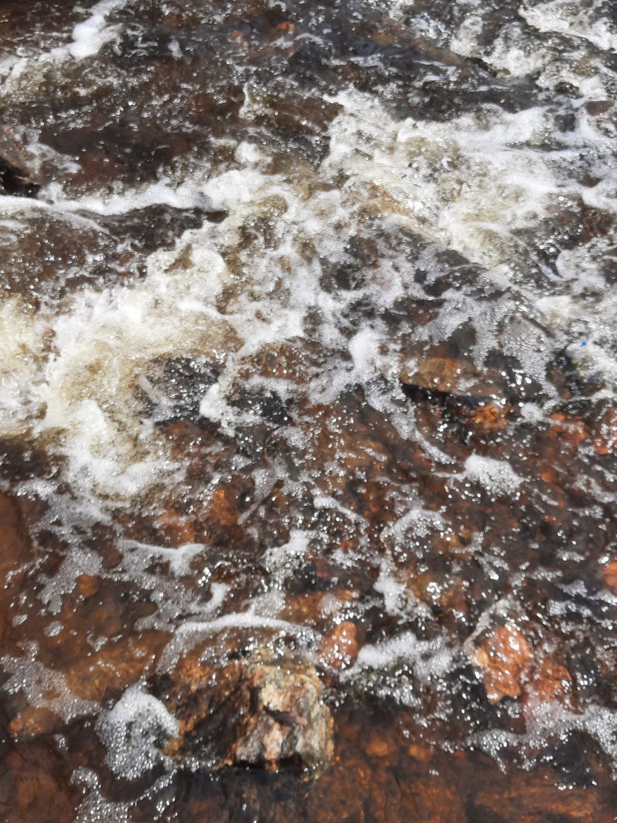 Фото автора.