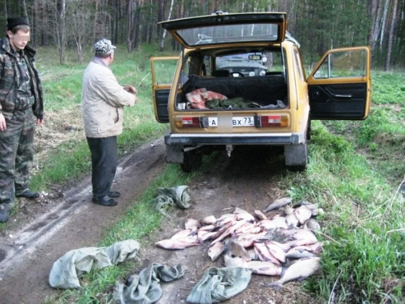 Досмотр на дороге