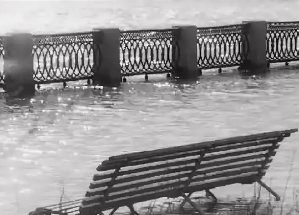 Фотография из свободных источников интернета