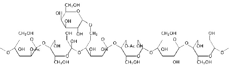 Структура молекулы галактоглюкоманнана – преобладающего полисахарида в гемицеллюлозной фракции мягкой древесины ели. Public domain/Qtea