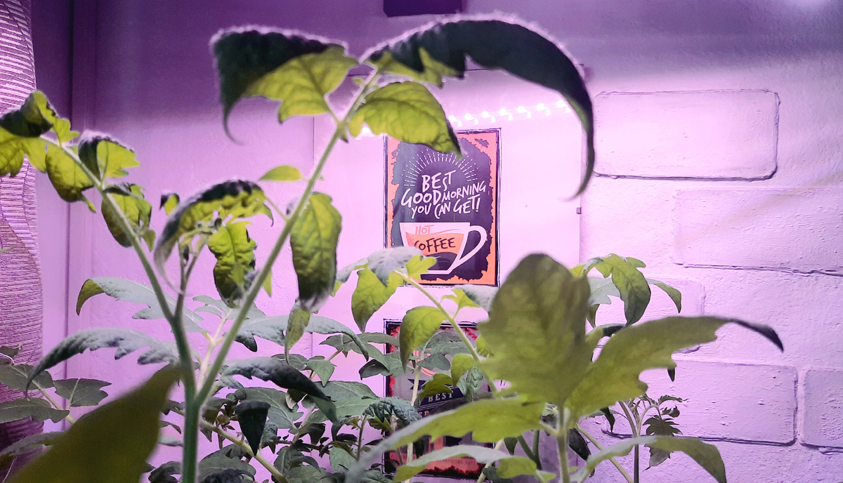 Фото автора.