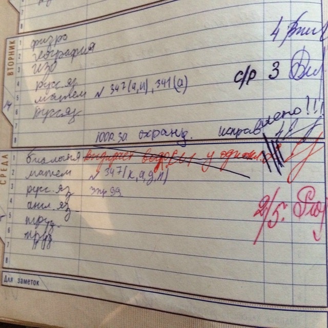    фото: © Мария Голубева