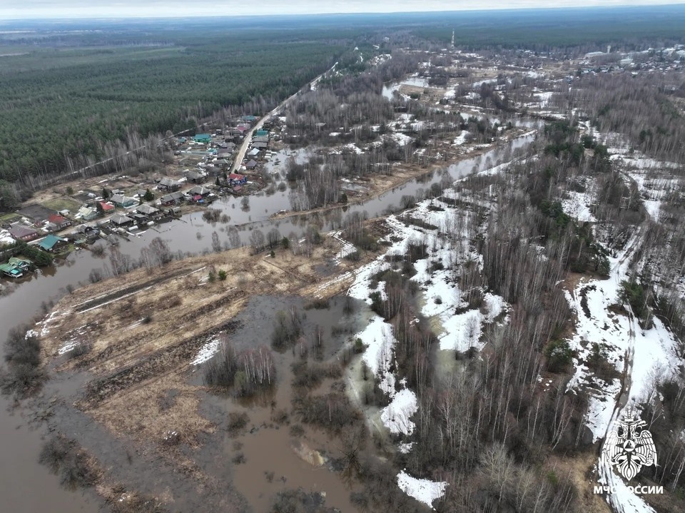    Фото: пресс-служба ГУ МЧС России по Костромской области