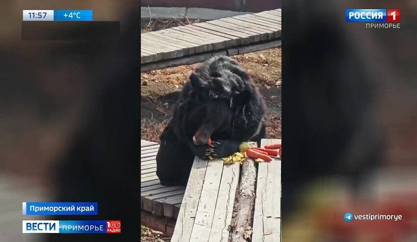    Источник фото: