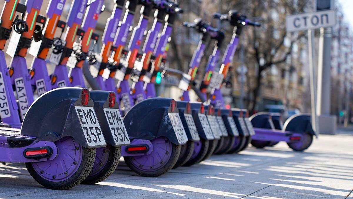    Фото: Светлана Нафикова / АГН Москва