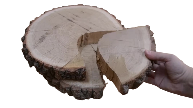 Выбераем подходящий спил дерева