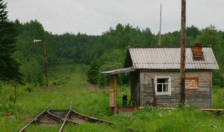 Тайна фотографии женщины, объявленной в розыск по уголовному делу