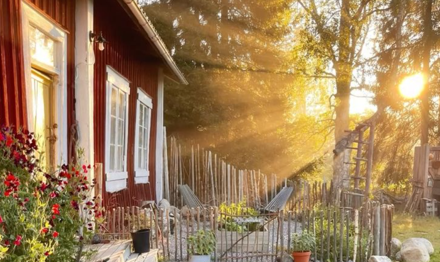 20+ фото уютных дачных домиков, в которые хочется переехать прямо сейчас