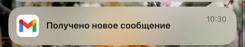    Фото: "Городские вести"