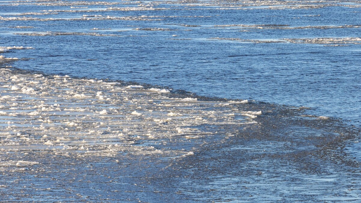    Фото: Федор Воронов/«Ямал-Медиа»