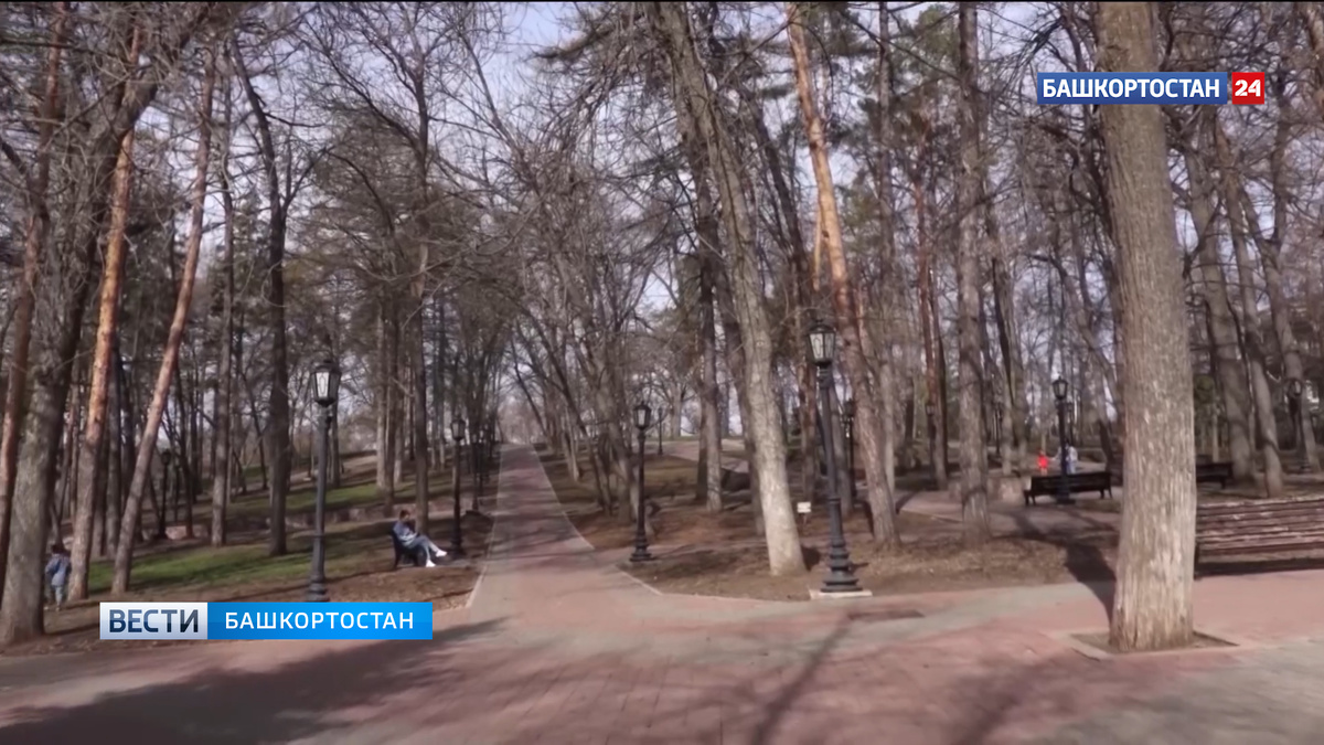    Ночью в Башкирии похолодает до -4